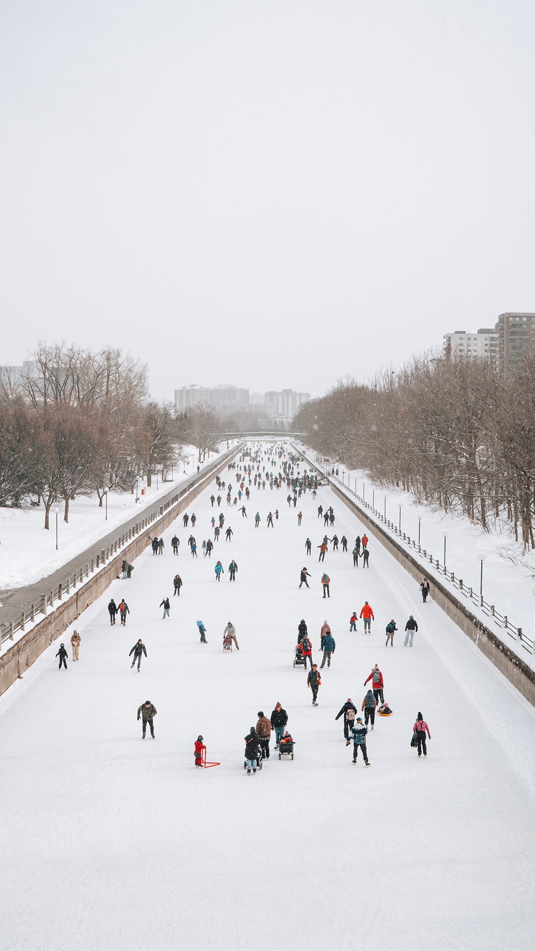 👇 Tag la personne avec qui tu aimerais vivre ça

Tu peux maintenant patiner sur la plus grande patinoire naturelle au monde : Le canal rideau à Ottawa ✨

Une fois gelé, le canal se transforme en une immense patinoire au cœur de la ville. On y va bien sûr pour patiner, mais l’expérience ne s’arrête pas là 🫢 Tu peux prendre ton temps et manger une queue de Castor, savourer un chocolat chaud et faire une pause dans les espaces détente avec tables et foyers pour te réchauffer 🔥 Oui oui, tout se passe directement sur la glace, patins aux pieds !

Infos à savoir :
📍 Canal Rideau, Ottawa
👟 Espaces pour se chausser et ranger ses affaires avec casiers
➡️ Plusieurs entrées sur la glace tout au long du canal
⛸️ Location de patins sur Fifth Avenue
🧭 Longueur de la patinoire : 7,8 km
🚻 Toilettes disponibles sur la glace
🎟️ Accès gratuit
🚗 2h de Montréal | 4h30 de Québec

Enregistre ce reel pour garder les infos 📌

Abonne-toi à @desousa.cindy pour plus de contenu ❄️