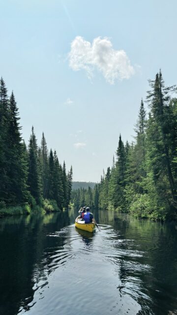 2 jours en canot-camping au Parc national du Mont-Tremblant 🛶
Une des plus belles façons de découvrir le Québec en été ☀️

📌 Enregistre pour plus tard

Le concept → Partir en canot avec tout son équipement, en totale autonomie, traverser des paysages incroyables et dormir sur des sites isolés, accessibles seulement par l’eau 🛶

NOTRE PARCOURS (2 jours / 2 nuits) 👇

🚌⛺️ Vendredi : Navette à 20h depuis l’accueil, on récupère les canots en chemin puis on roule 1h30 pour s’enfoncer au cœur du parc. Arrivée au camping du Lac aux Herbes et installation du campement à la frontale

🛶⛺️ Samedi : C’est le grand départ! 11,8 km à parcourir en rivière avec quelques minis rapides pour le plaisir 🌊 (compter 3-4h). On s’installe au camping Le Beaulieu, on se baigne, on chill et on profite!

🛶🚌 Dimanche : On complète les 11,2 km restants (environ 3h30) pour terminer l’aventure. Pause lunch sur la plage et tout dernier effort pour la traversée du lac Escalier, qui est assez demandant 💨 La navette nous récupère à l’arrivée pour nous ramener à l’accueil!

J’appréhendais pour la distance totale de 22 km mais au final sur deux jours, le rythme est vraiment très accessible et agréable 😌

Bref, une expérience que j’ai adorée et que je recommande x1000 💚

INFOS PRATIQUES :
📍 Parc du Mont-Tremblant (Secteur de la Diable)
🚗 2h de Montréal
🛶 Parcours total : 22 km
🏕️ Emplacements avec table, espace feu et toilette sèche
💸 Environ 200$ pour 2 adultes / 2 nuits
📞 Réservation par téléphone avec la Sépaq
ℹ️ Tous les détails sur leur site web

🎒 CHECKLIST INDISPENSABLE :
✓ Tente, sac de couchage & matelas
✓ Sacs ou bidons étanches pour tout
✓ Eau pour 2 jours et/ou pastilles de purification (⚠️ pas d’eau potable sur place)
✓ Nourriture pour 2 jours
✓ Bois à acheter à l’accueil
✓ Lampe frontale
✓ Anti-moustique
✓ Corde pour suspendre en hauteur ta nourriture durant la nuit 🐻

👀 Retrouve toute l’aventure en vidéo dans ma story à la une « Québec 1 🌲»

Si t’as des questions pose-les en commentaires 👇