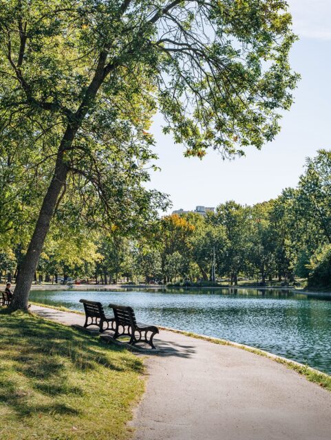 Ce que j’aime le plus de Montréal ?👇 La quantité de verdure qu’il y a partout 🌿

Entre les ruelles vertes, les grands parcs et les rues super boisées, on oublie vite qu’on est en pleine ville 💚

Et en été quand il fait chaud, l’ombre des arbres et la fraîcheur des espaces verts rendent chaque balade tellement plus agréable 😌🫶

Et toi, qu’est-ce que tu aimes le plus de Montréal ?

📸 La ville a déjà énormément verdi ces deux dernières semaines mais ces photos ont été prises l’an dernier