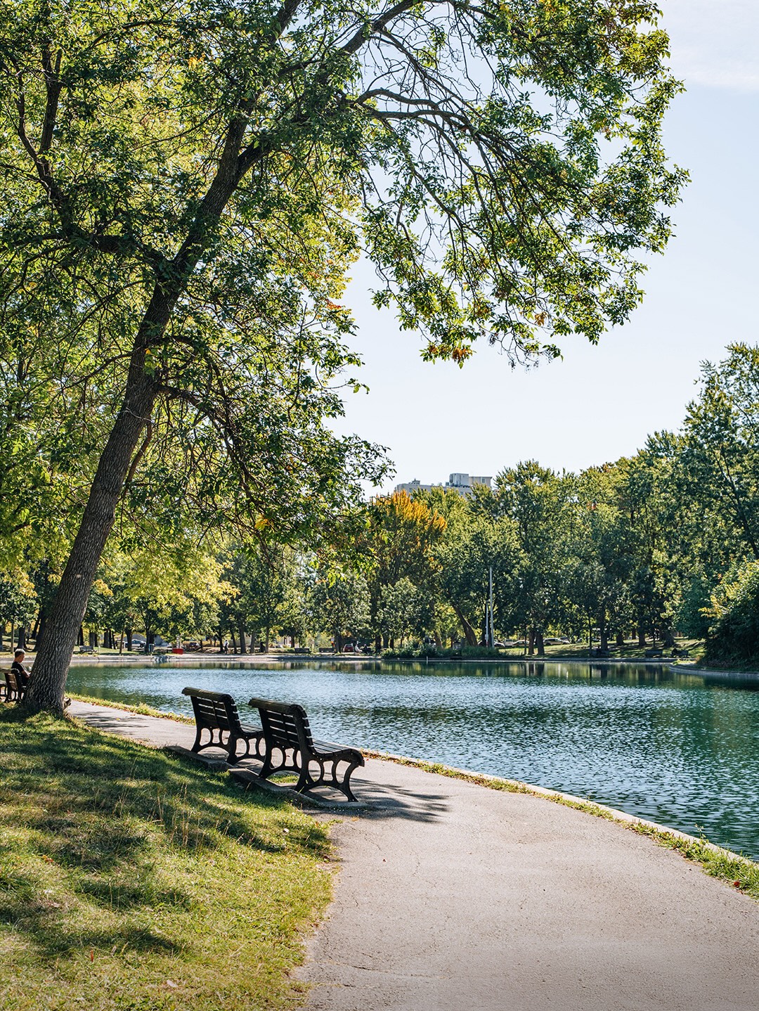 Ce que j’aime le plus de Montréal ?👇 La quantité de verdure qu’il y a partout 🌿

Entre les ruelles vertes, les grands parcs et les rues super boisées, on oublie vite qu’on est en pleine ville 💚

Et en été quand il fait chaud, l’ombre des arbres et la fraîcheur des espaces verts rendent chaque balade tellement plus agréable 😌🫶

Et toi, qu’est-ce que tu aimes le plus de Montréal ?

📸 La ville a déjà énormément verdi ces deux dernières semaines mais ces photos ont été prises l’an dernier