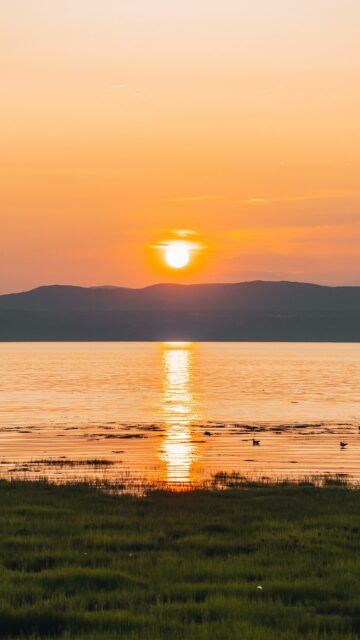 Kamouraska est connu pour offrir les plus beaux couchers de soleil au Québec… et honnêtement, une fois sur place tu comprends vite pourquoi 🥹🌅

Voici quelques spots pour admirer le sunset dans la région 👇
📍 Le phare de Saint-André-de-Kamouraska 📍 La plage de Kamouraska 📍 La plage de Notre-Dame-du-Portage 📍 La halte de Notre-Dame-du-Portage 📍 Depuis ton camping SEBKA 🏕️

Et si tu préfères voir le coucher du soleil avec un bon verre de la région 🍻 direction la microbrasserie Tête d’Allumette (qu’on voit dans le reel 👀) ! Ambiance simple, chaleureuse et vue incroyable sur le fleuve ✨

Ou si t’es plutôt pizza et terrasse 🍕 la Pizzeria des Battures est un excellent spot pour se régaler et profiter du sunset avec vue sur le fleuve aussi 🤌

🚗 3h50 de Montréal I 2h de Québec

💾 Enregistre ce spot pour le retrouver facilement

Et abonne-toi à @desousa.cindy pour plus d’inspirations 🌿