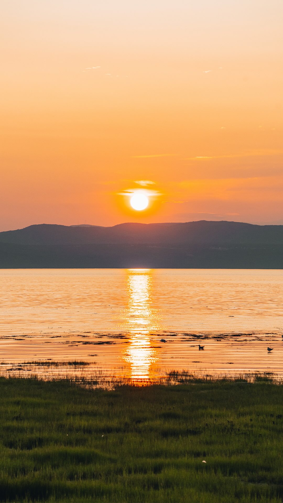 Kamouraska est connu pour offrir les plus beaux couchers de soleil au Québec… et honnêtement, une fois sur place tu comprends vite pourquoi 🥹🌅

Voici quelques spots pour admirer le sunset dans la région 👇
📍 Le phare de Saint-André-de-Kamouraska 📍 La plage de Kamouraska 📍 La plage de Notre-Dame-du-Portage 📍 La halte de Notre-Dame-du-Portage 📍 Depuis ton camping SEBKA 🏕️

Et si tu préfères voir le coucher du soleil avec un bon verre de la région 🍻 direction la microbrasserie Tête d’Allumette (qu’on voit dans le reel 👀) ! Ambiance simple, chaleureuse et vue incroyable sur le fleuve ✨

Ou si t’es plutôt pizza et terrasse 🍕 la Pizzeria des Battures est un excellent spot pour se régaler et profiter du sunset avec vue sur le fleuve aussi 🤌

🚗 3h50 de Montréal I 2h de Québec

💾 Enregistre ce spot pour le retrouver facilement

Et abonne-toi à @desousa.cindy pour plus d’inspirations 🌿