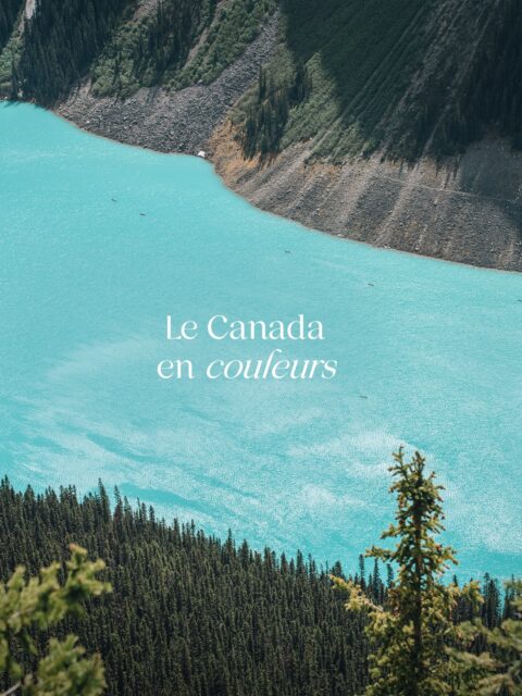 Le Canada en couleurs ✨

Voyager au Canada c’est s’en prendre plein les yeux à chaque nouvelle découverte et s’émerveiller face à la diversité des destinations et couleurs 🥹

Quelle est ta slide préférée ? 👇
