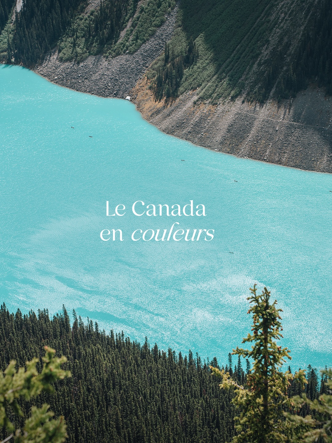 Le Canada en couleurs ✨

Voyager au Canada c’est s’en prendre plein les yeux à chaque nouvelle découverte et s’émerveiller face à la diversité des destinations et couleurs 🥹

Quelle est ta slide préférée ? 👇