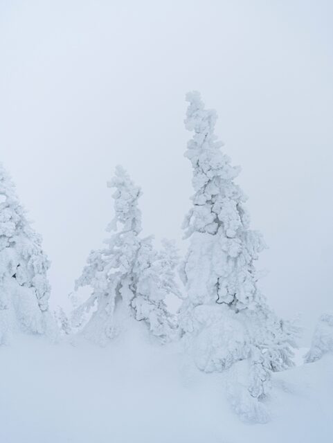 La nature figée sous la neige et le silence ❄️🌨️

📍Parc national des Monts-Valin

.
.
.
.

#parcnationaldesmontsvalin #winterquebec #saguenaylacsaintjean #valleedesfantomes