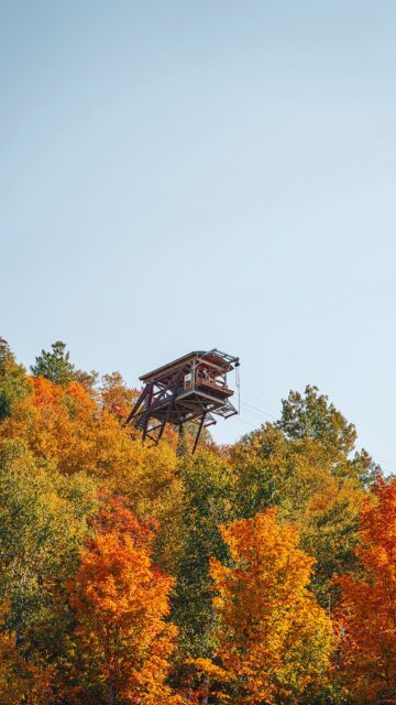 J’ai testé l’une des expériences les plus sensationnelles à faire au Québec pendant les couleurs 🤩🍂

Direction Mont-Tremblant à 1h30 de Montréal pour le parcours du Faucon de @ziptrektremblant qui comprends 5 immenses tyroliennes, dont certaines de plus de 1 km, avec des vitesses pouvant atteindre 100 km/h 🤯

Avec les couleurs d’automne, l’expérience est juste incroyable et les vues sont à couper le souffle !

Et pour ceux qui veulent encore plus d’adrénaline, il y a aussi la zone de saut avec une chute libre de 6m au-dessus d’un vide de 20m 😱 Regardez bien la fin du réel parce que je suis bien fière de l’avoir fait 🙋‍♀️

Et toi, tu ferais quoi ? 🍂 Les tyroliennes 😱 La chute libre 🔥 Les deux 🙅‍♀️ Aucun des deux

Abonne-toi à @desousa.cindy pour plus de contenus au Québec 🍂

*collaboration