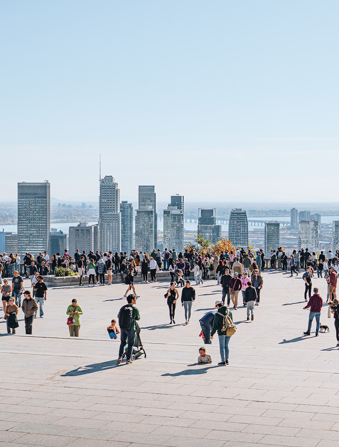 Profiter des beaux jours à Montréal et de ses endroits incontournables ☀️

Le belvédère Kondiaronk, l’Oratoire Saint-Joseph, les façades colorées du Square Saint-Louis et les nombreux parcs de la ville avec bien sûr ses écureuils 🐿️🥹

Quel est ton endroit préféré à Montréal ? ☺️
