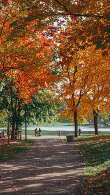Les couleurs au Québec commencent dans quelques semaines 🍂

Chaque année, je trouve ça fascinant de voir les feuilles changer peu à peu de couleur et les paysages se transformer complètement 🥹

J’ai tellement hâte de retrouver cette saison et de vous partager de belles photos et des idées de sorties pour en profiter au maximum 🤎

Et toi, tu as aussi hâte aux couleurs ? 🍁
Ou tu voudrais encore prolonger l’été ? ⛱️

Abonne-toi à @desousa.cindy pour ne rien rater ✨