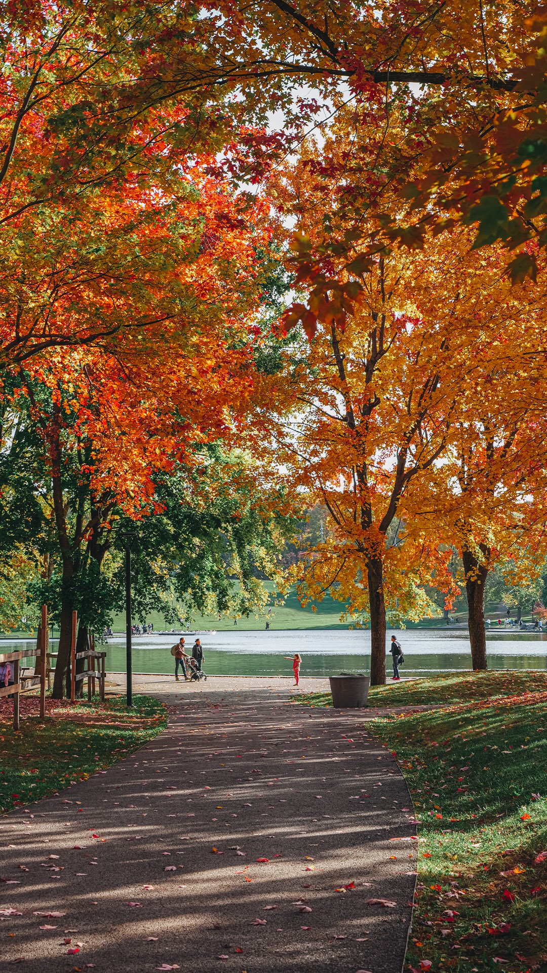 Les couleurs au Québec commencent dans quelques semaines 🍂

Chaque année, je trouve ça fascinant de voir les feuilles changer peu à peu de couleur et les paysages se transformer complètement 🥹

J’ai tellement hâte de retrouver cette saison et de vous partager de belles photos et des idées de sorties pour en profiter au maximum 🤎

Et toi, tu as aussi hâte aux couleurs ? 🍁
Ou tu voudrais encore prolonger l’été ? ⛱️

Abonne-toi à @desousa.cindy pour ne rien rater ✨