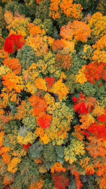🚗 À 2h de Montréal et 2h de Québec

Direction la Mauricie pour une courte randonnée accessible, qui mène à ce magnifique belvédère 🧡

Enregistre pour plus tard 📌

En commençant la boucle par la gauche, tu traverseras d’abord les bois, puis tu longeras un lac avant d’arriver à un joli pont au bord de la rivière. Ensuite, le sentier commence à bien monter jusqu’au belvédère, où une superbe vue t’attend au bout de 2 km 🥹

L’entrée est gratuite, avec une boîte sur place si tu souhaites faire un don pour l’entretien du parc 🫶

Infos principales :
🌲 Parc récréoforestier Saint-Mathieu
📍 Mauricie, Québec 🥾 5,1 km 📈 186 m de dénivelé 🐕 Chiens admis 🎟️ Gratuit (don volontaire)
🚗 2h de Montréal I 2h de Québec

Abonne-toi à @desousa.cindy pour ne rien rater 🍂