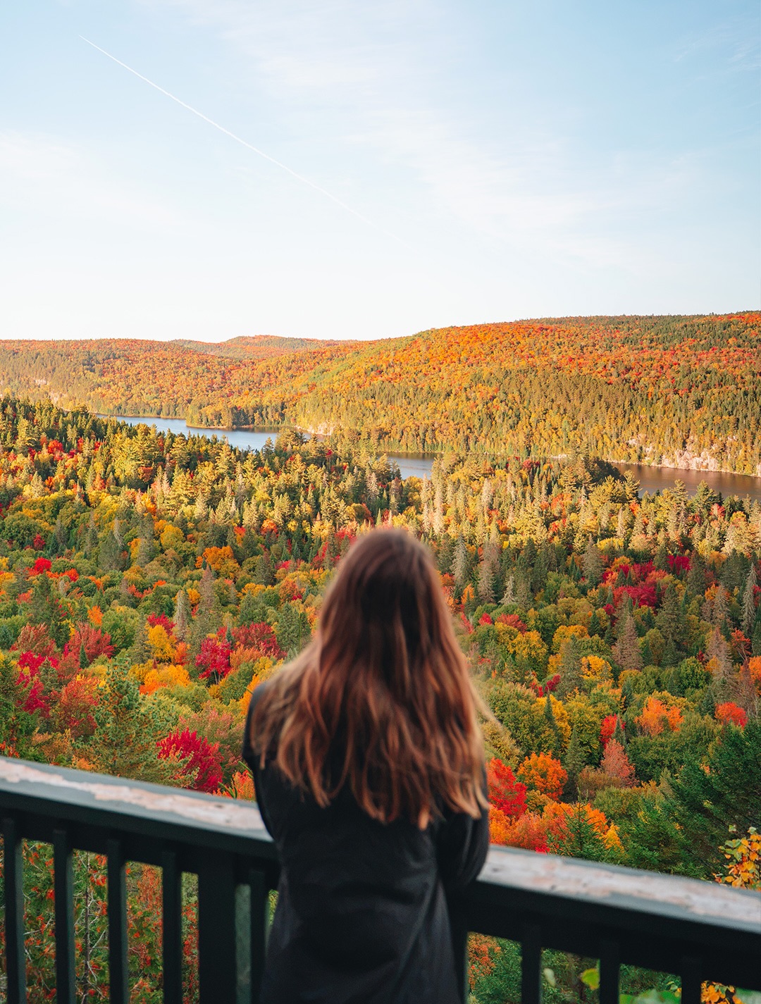 Le belvédère de l’Île-aux-Pins au parc National de la Mauricie sous ses couleurs d’automne 🧡

Un endroit que j’avais déjà adoré cet été et que j’avais envie de redécouvrir à cette période de l’année ! Et je trouve ça encore plus beau à l’automne 🥹 Et toi, tu préfères quelle saison ? ☀️🍂

🌲 Parc national de la Mauricie, Québec
📍 Belvédère de l’Île-aux-Pins
🥾 400 m aller-retour
🚗 2h10 de Montréal I 2h10 de Québec
🎟️ Entrée parc Canada : 10$ / pers

📸 Photos du 26 septembre 2026